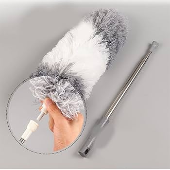 Dust Brush