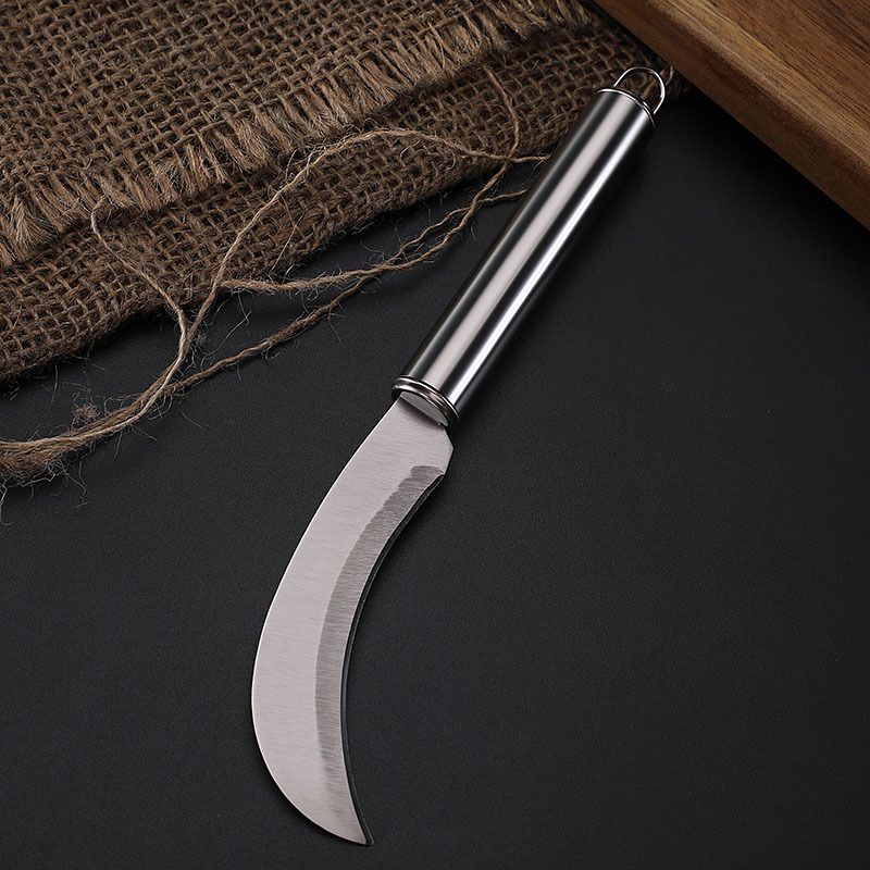 Stainless Steel Fruit Knife