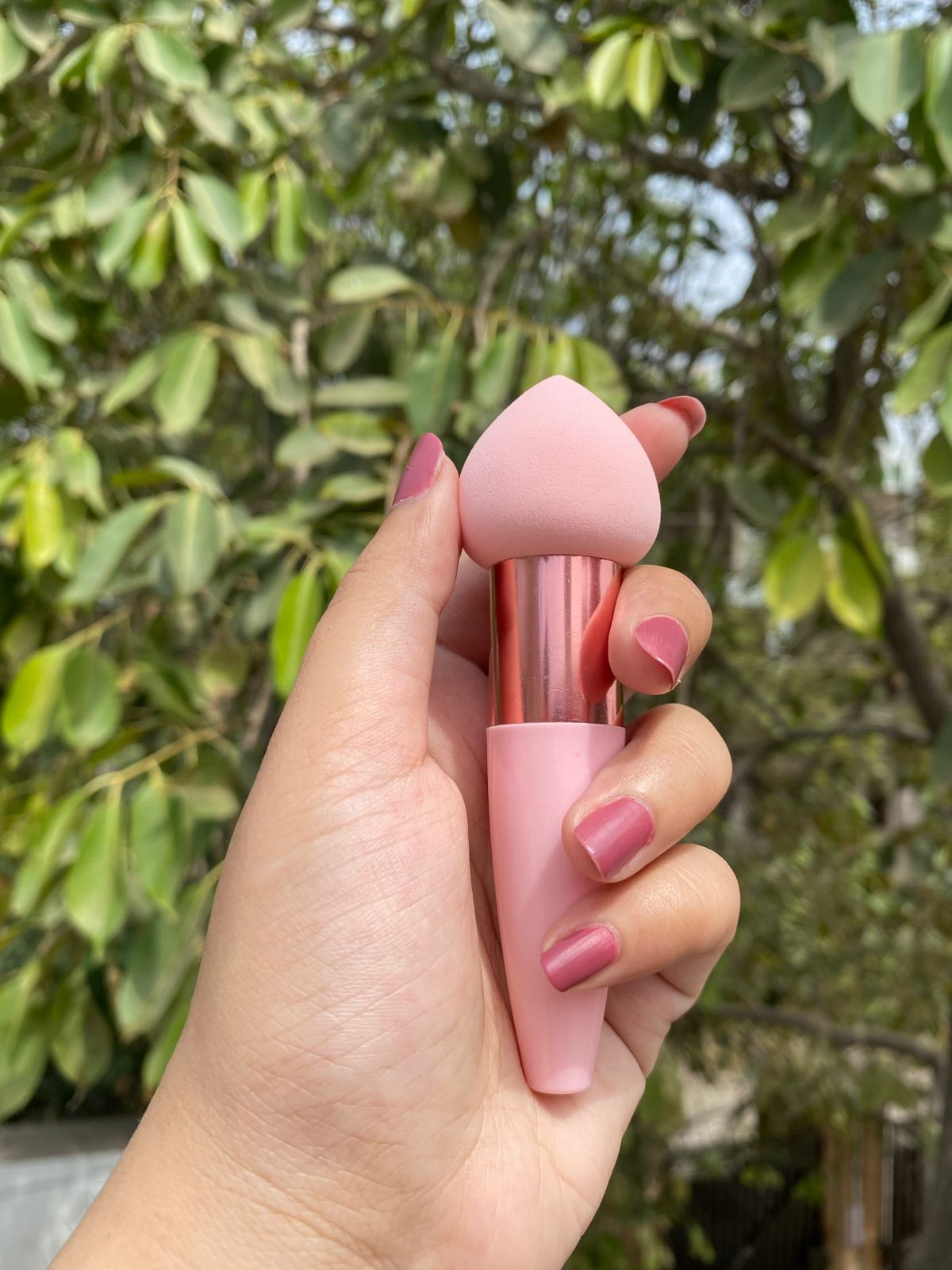 Sponge Blending Brush