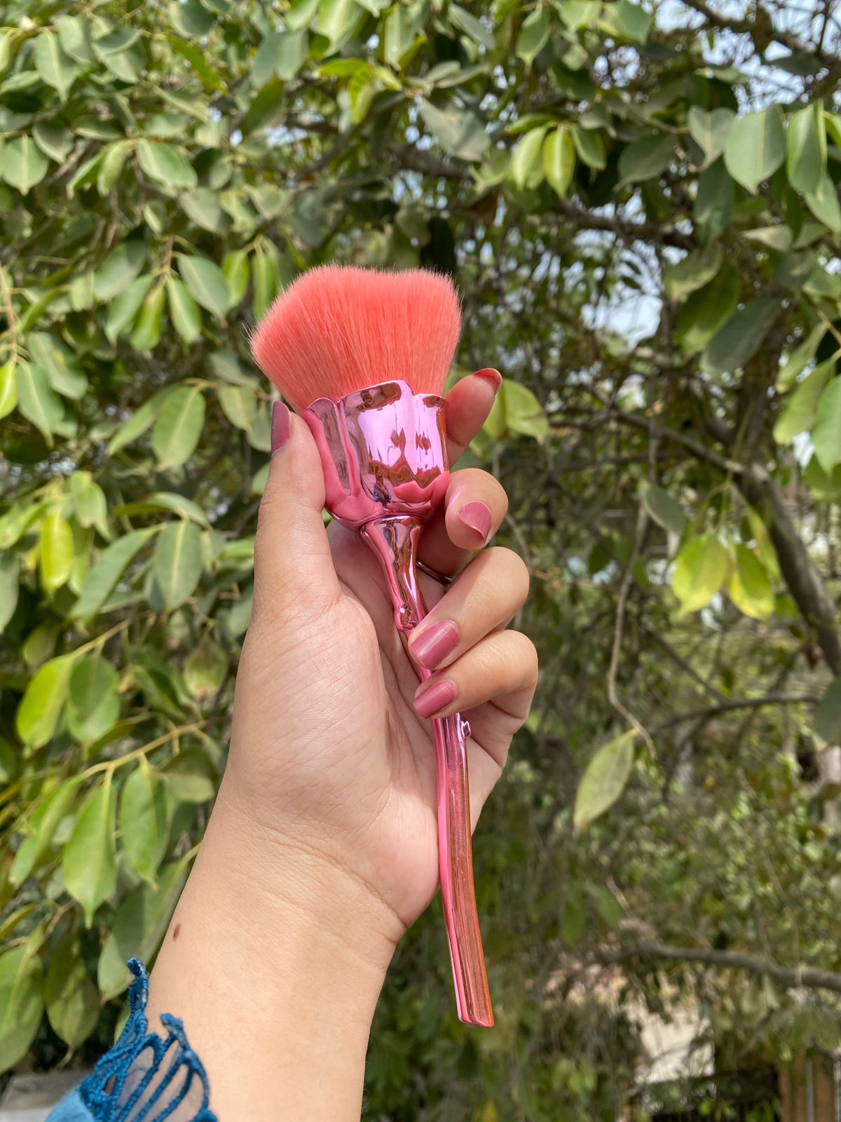 Powder & Blush Brush