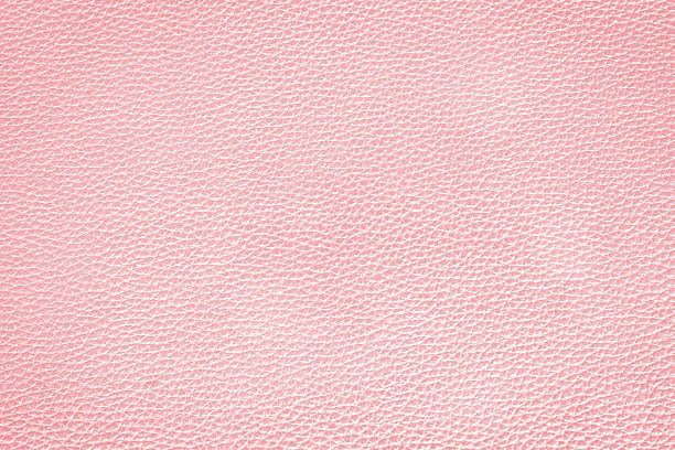 Cosmetic Leather Bags