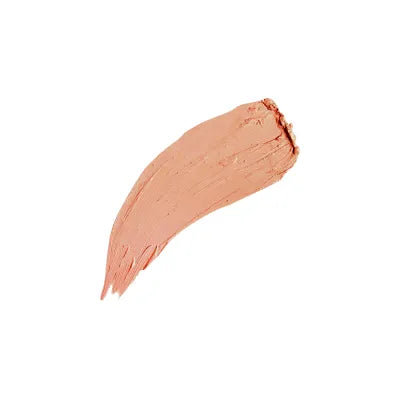 FOUNDATION DMGM PHOTO FIX PAN STICK WATER RESISTANT