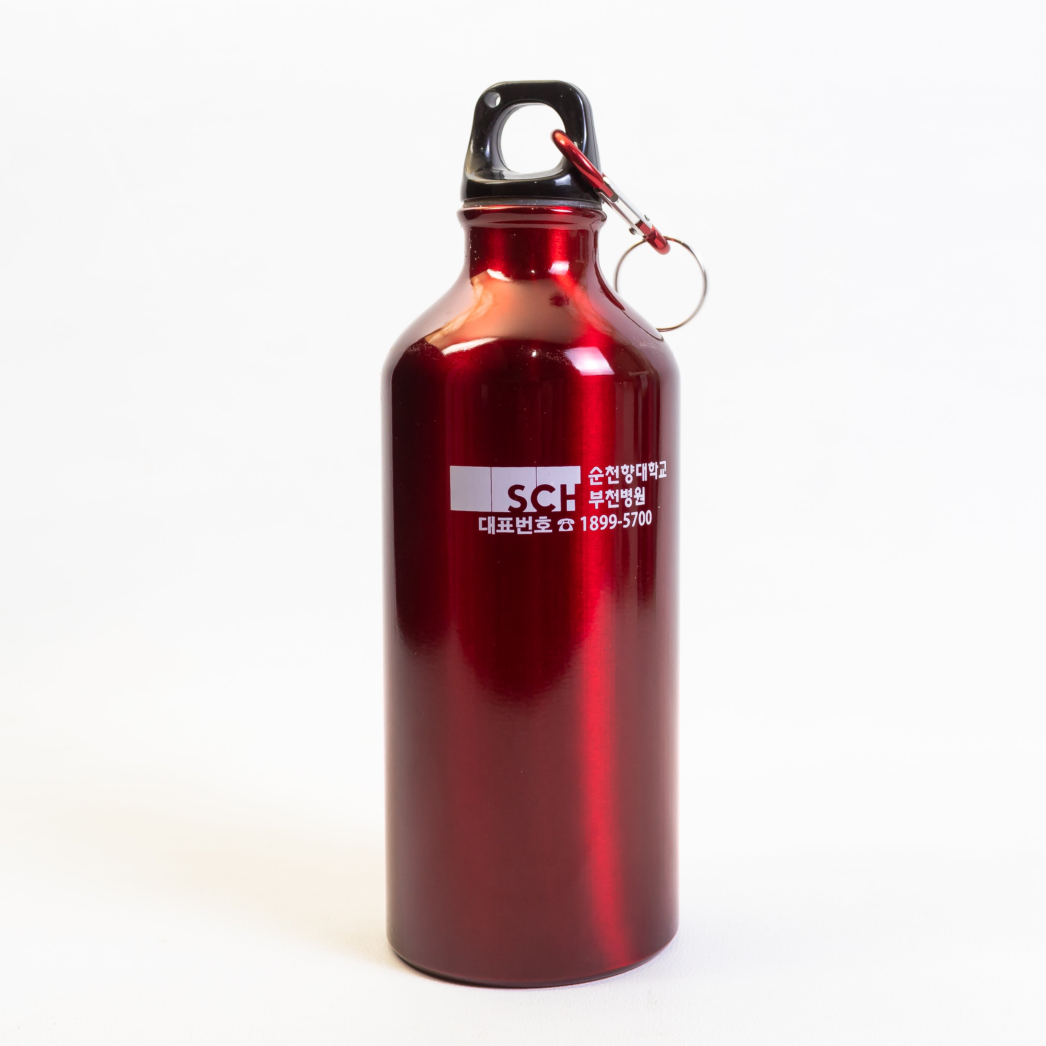 STAINLESS STEEL BOTTLE (500ML)