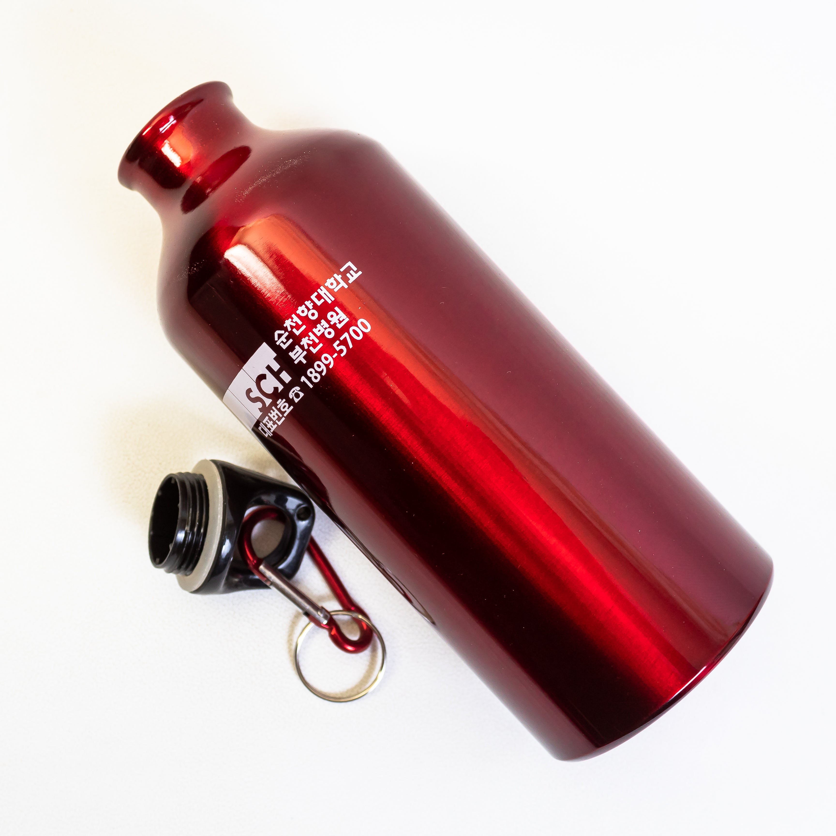 STAINLESS STEEL BOTTLE (500ML)